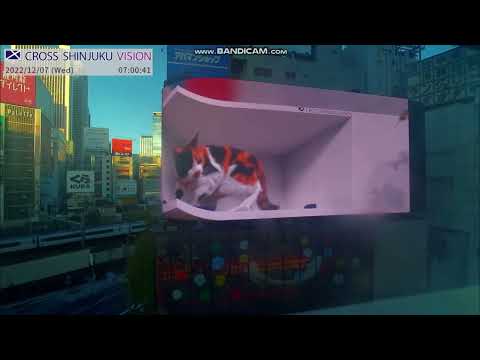 開始先:クロス新宿ビジョン