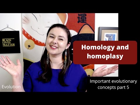 Video: Perbedaan Antara Homoplasy Dan Homologi