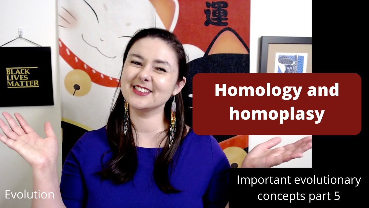How Do You Identify What Are Homoplasious Characters?