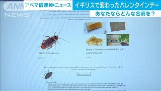 バレンタインデーの人気企画は“ゴキブリが主役”(20/02/14)