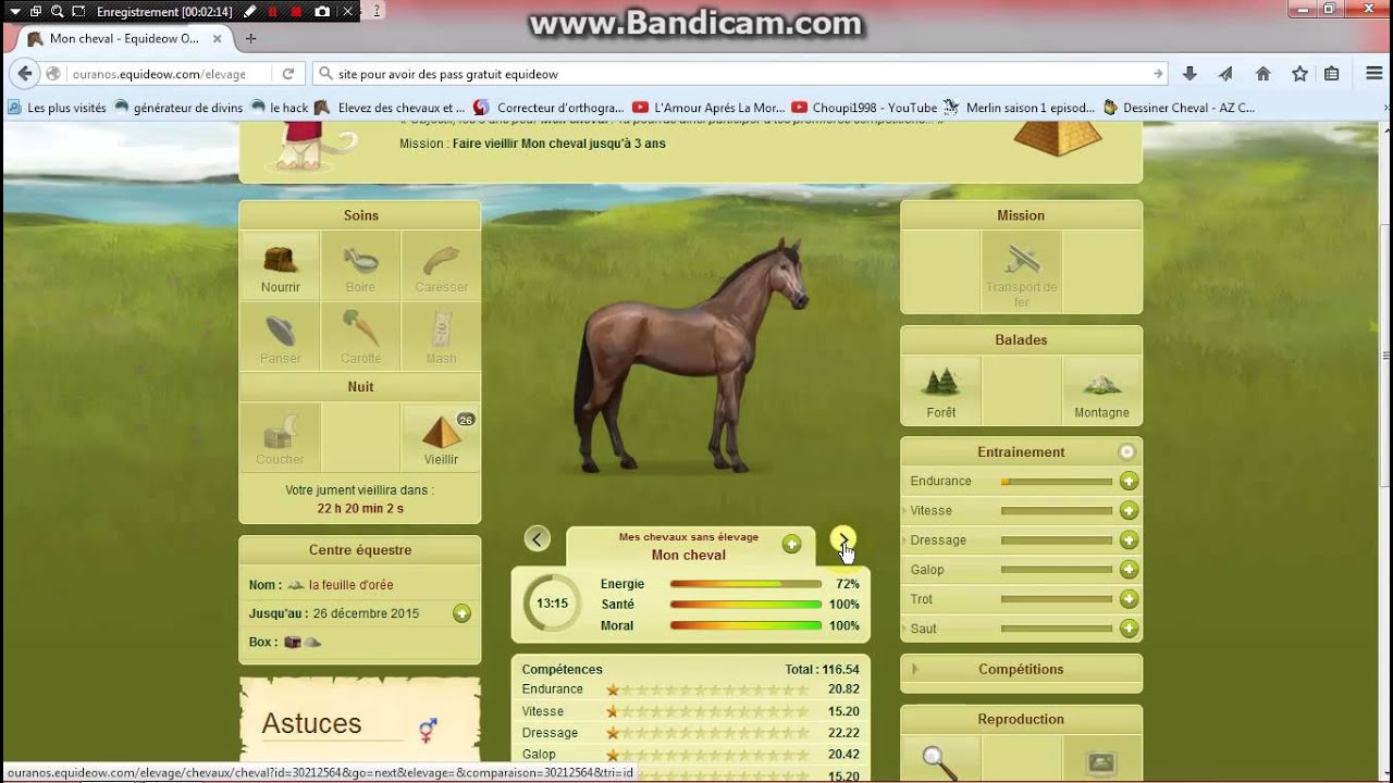 equideow gratuitement