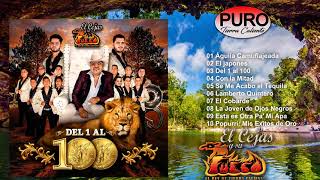 El Cejas y Su Banda Fuego 2021- Del 1 al 100 (Álbum)