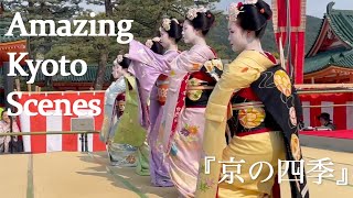 外国人観光客も大感激！可愛い舞妓さんたちが踊る京都のお祭り 平安神宮 祇園東 Beautiful dancing of maiko at Heian Shrine in Kyoto