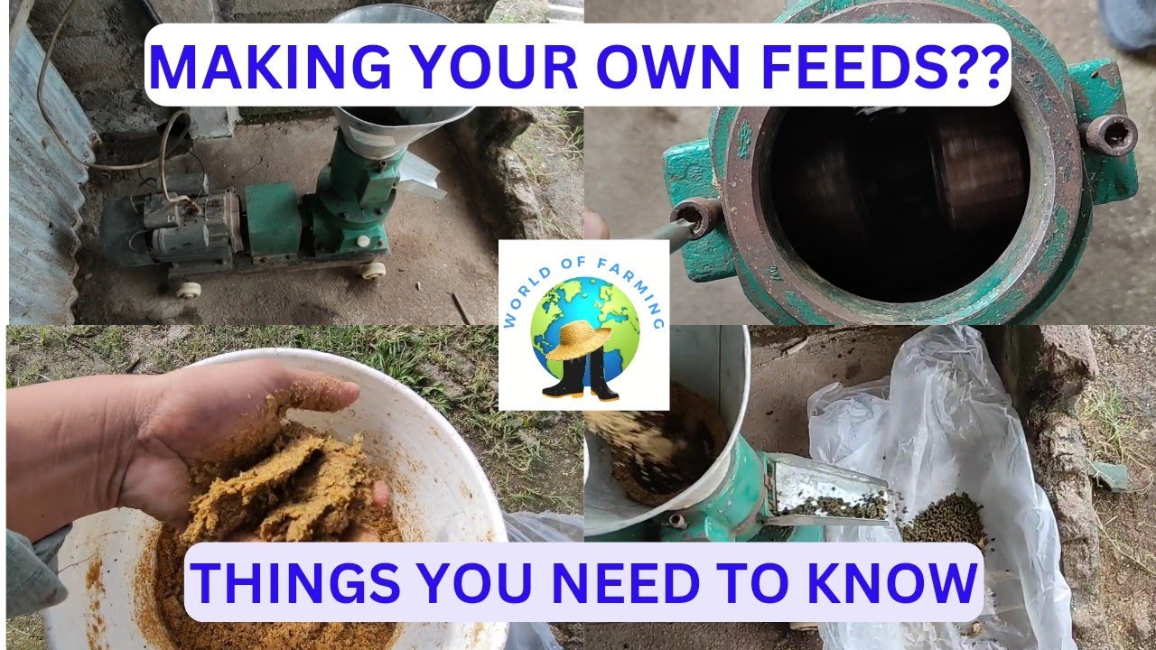 How much is Pellet machine and how to use it??? (Pelletizer)