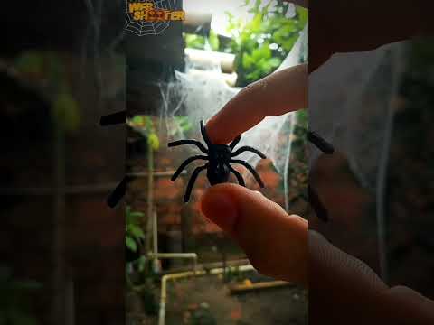 Vídeo: Uma teia de aranha pode conduzir eletricidade?