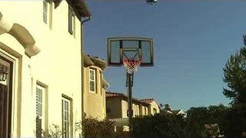 T-Rex 450se V2 in Back Yard