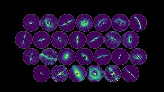 Familias de Planetas | California Academy of Sciences