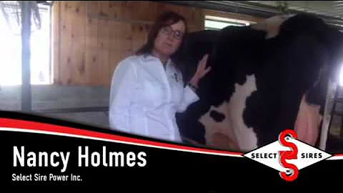 Your Success is Our Passion - Nancy Holmes