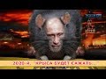 2020-й. «КРЫСА БУДЕТ САЖАТЬ»