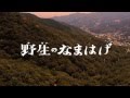 「野生のなまはげ」予告編