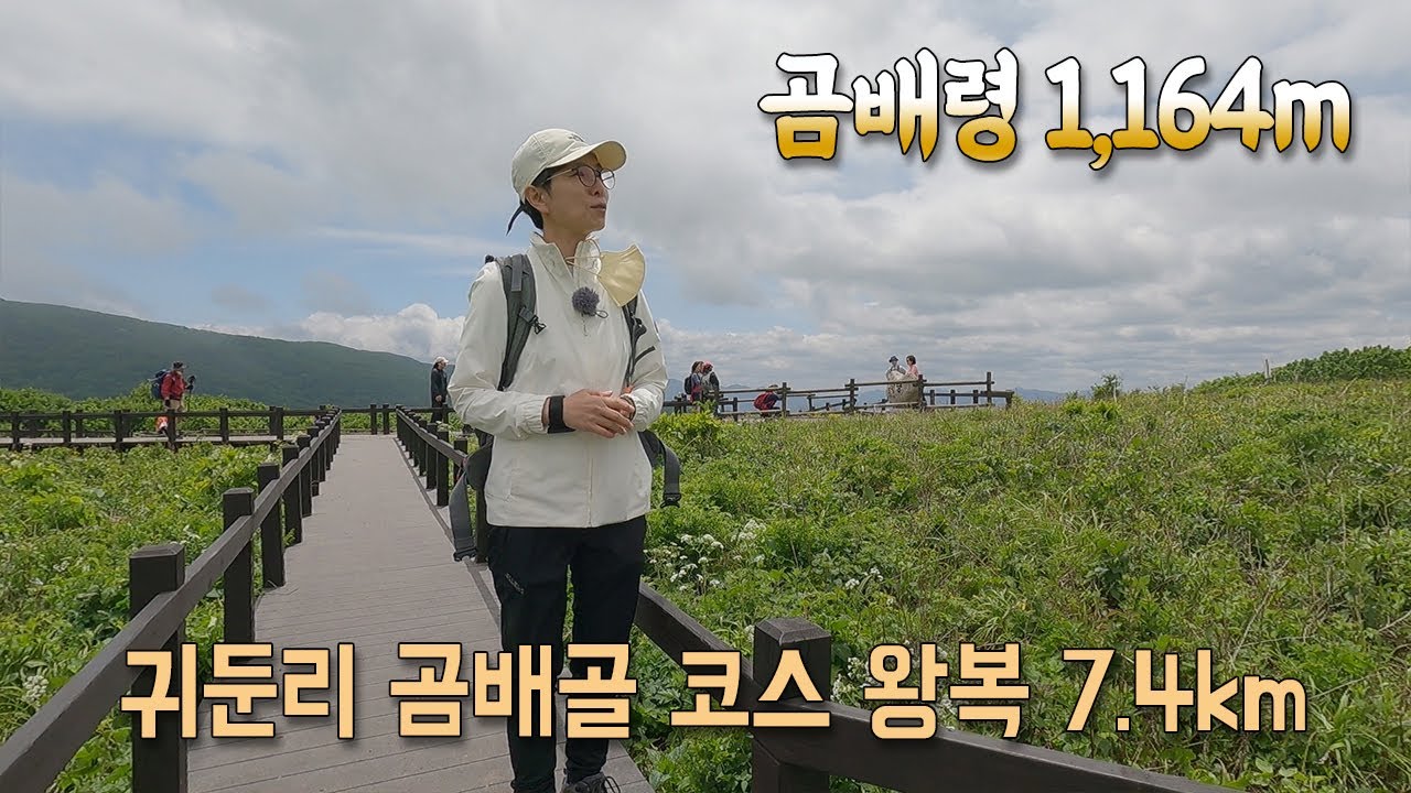 가벼운 산행 코스 | 곰배령 1,164M | 야생화의 천국 | 귀둔리 곰배골 코스 | 호젓한 산행 코스 - Youtube