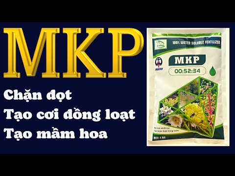 Video MKP là gì? | MKP chặn đọt, tạo mầm & tạo cơi đồng loạt... - youtube