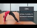 Spinal Flexibility - Backbending and Bridge Routine