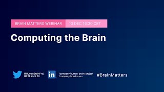 Brain Matters #13 - "Computing the Brain"