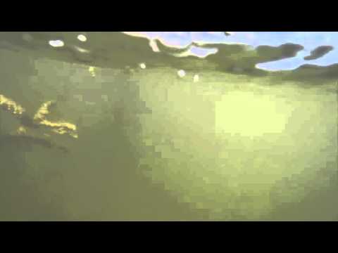 GoPro: Chris Zaldain's Buck Brushline - YouTube Bassmaster