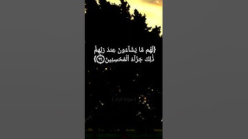 سورة الزمر الآية ٣٣ الى ٣٧ بصوت الشيخ ماهر المعيقلي