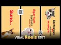 How to Make Typography Reels 🤩 | Instagram Trending Typography Video Edit Tutorial In Capcut