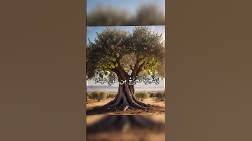 وشجرة تخرج من طور سيناء تنبت بالدهن وصبغ للآكلين | سورة المؤمنون | ياسر الدوسري
