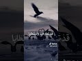 سأمضي في مد النور 