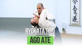 Ryokata Tori Ago Ate