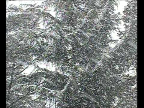 უამინდობა საქართველოში თვის..