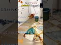 Ranking Funniest Drive-Thru Moments 🤣 #ranking #memes #funny #tiktok