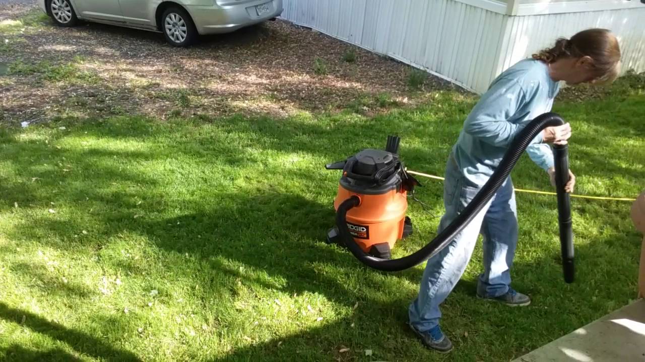 Lawn vacuum man YouTube