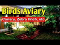 Bird aviary 2 (canary & zebra finch, etc.)