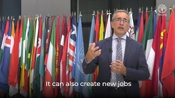 From Forest to Future: Unleashing the Sustainable Power of Wood