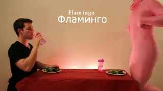 Как едят животные (русский перевод) Как едят животные (русский перевод)