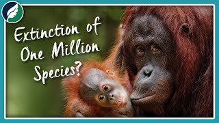 Are 1,000,000 Species Really Going Extinct? What Can We Do About It? by Nature League 2,869 views 4 years ago 19 minutes