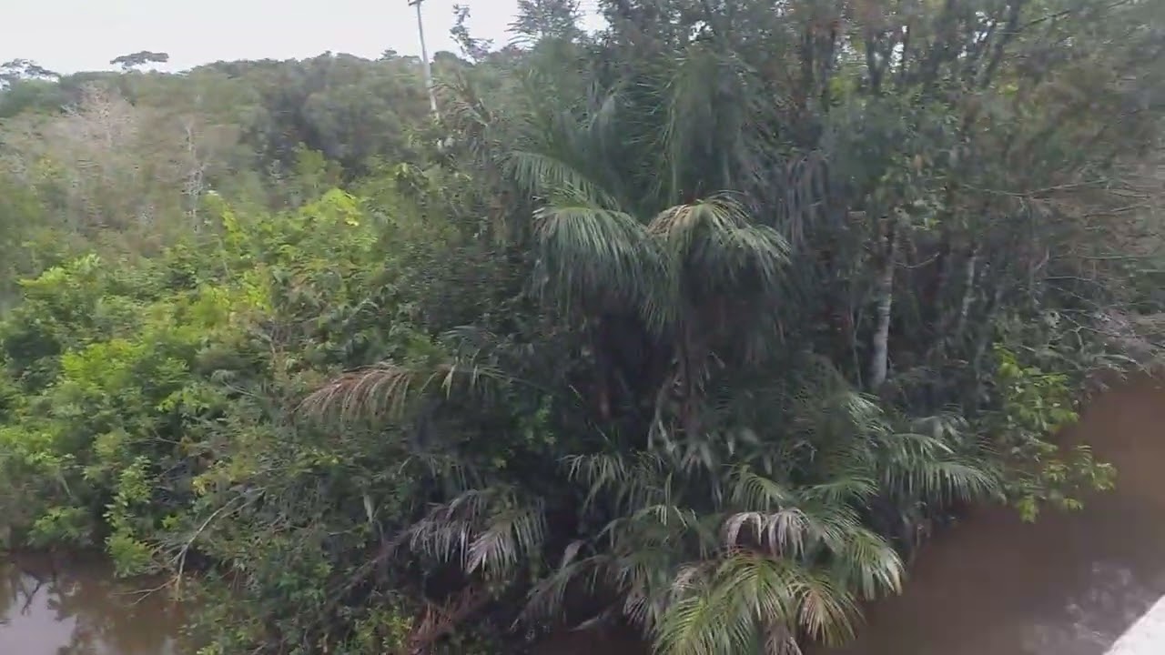 Rio Trairi - Br174 - RR 🌿🚴🇧🇷