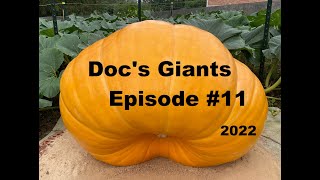 Episode #11 Doc's Giant Pumpkin Patch 2022