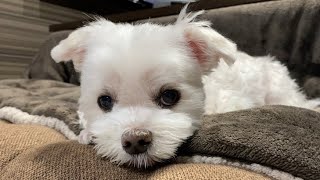 皆さんにお伝えしなければいけない事があります