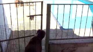 Kaya Opening The Gate Part 1