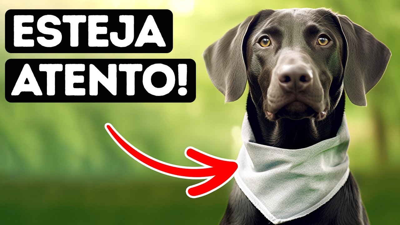 Cão intrigante exposto: Aviso + fatos inacreditáveis!