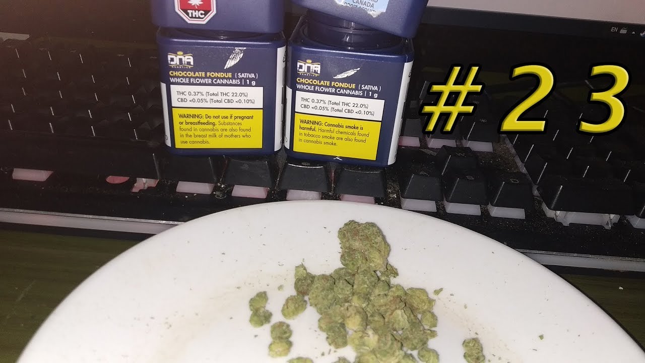 SQDC Weed Review 23 Chocolat Fondue de DNA YouTube