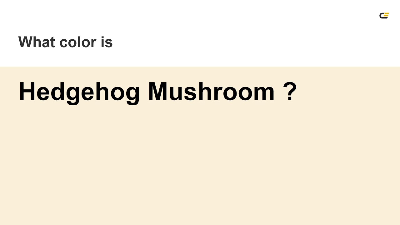 Hedgehog Mushroom color #faf0da hex Cool Yellow color faf0da - YouTube
