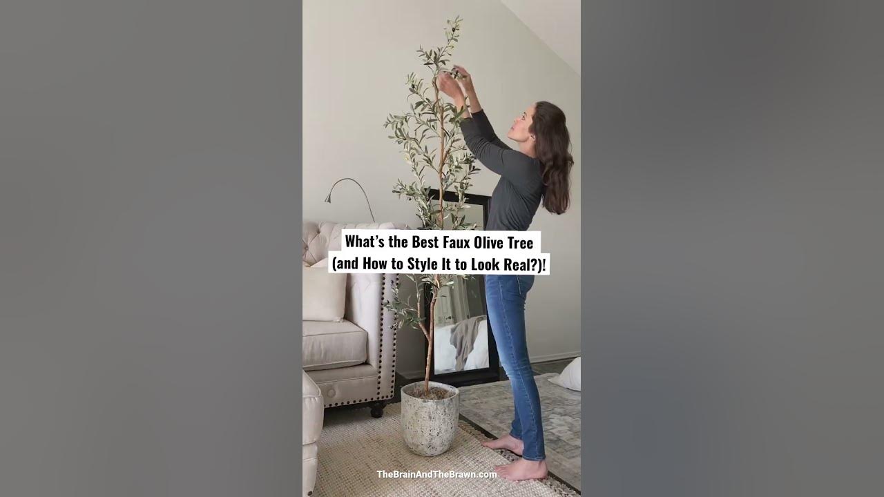 how to make a faux olive tree look better – almost makes perfect