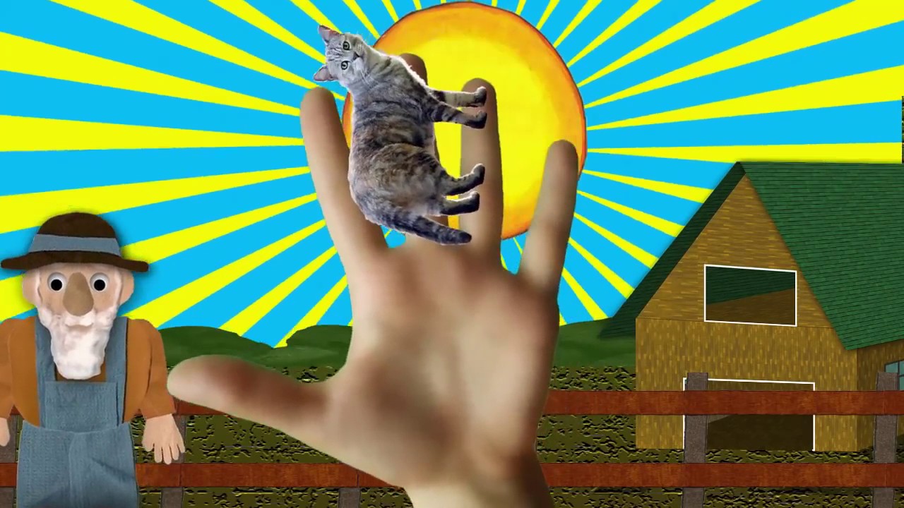 Farm Animal Finger Family Animal Finger Family Songs Finger Family for