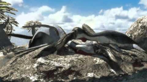 Riven (Sequel to Myst) - Jungle island Sunners