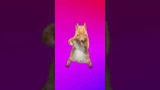 Şişkoyum Ben Şişko An Fisko