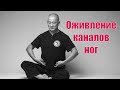 Оживление каналов ног сидя.