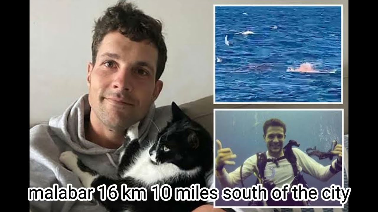 Sydney shark attack video _  Swimmer killed identified as British expat