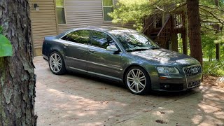 I Bought a Broken V10 Audi D3 S8 for $7,000 - Can I Fix it Without Going Broke
