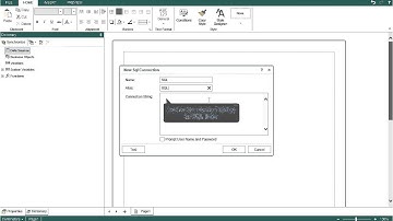 Binding SQL Data to Report in Web Designer - [Shot on version 2015.1]