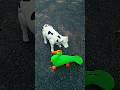 Rc clever cow unboxing 🐄😱|#shorts #shortsfeed #viralshort