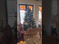 today, today, today, today, today is (not) christmas... BUT that doesn't mean we can't spread some