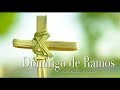 HOSANNA AL HIJO DE DAVID | CANTO PROCESIONAL | DOMINGO DE RAMOS