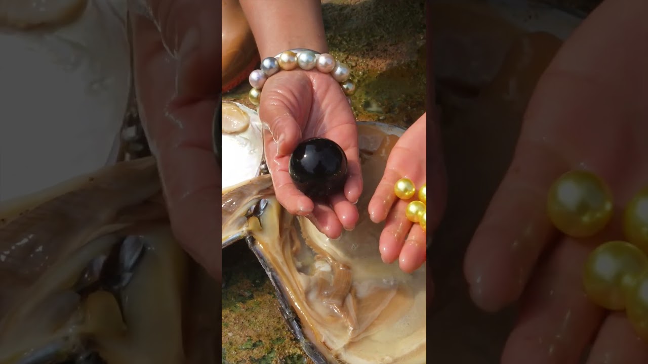 🔮The riverside treasure has revealed its true form